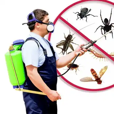 pest control Jessup